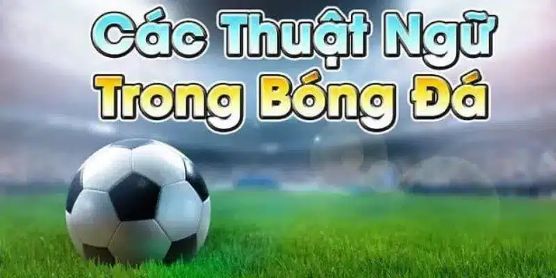 Giải mã các thuật ngữ cá độ bóng đá cơ bản