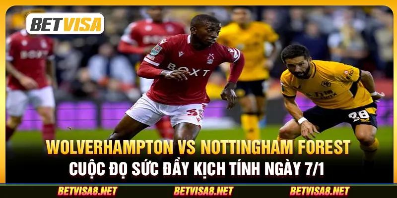 Wolverhampton Wanderers vs Nottingham Forest - Cuộc đọ sức đầy kịch tính ngày 7/1